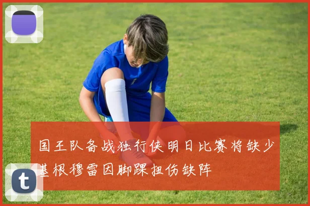 国王队备战独行侠明日比赛将缺少基根穆雷因脚踝扭伤缺阵