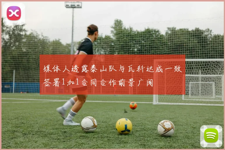 媒体人透露泰山队与瓦科达成一致签署1加1合同合作前景广阔